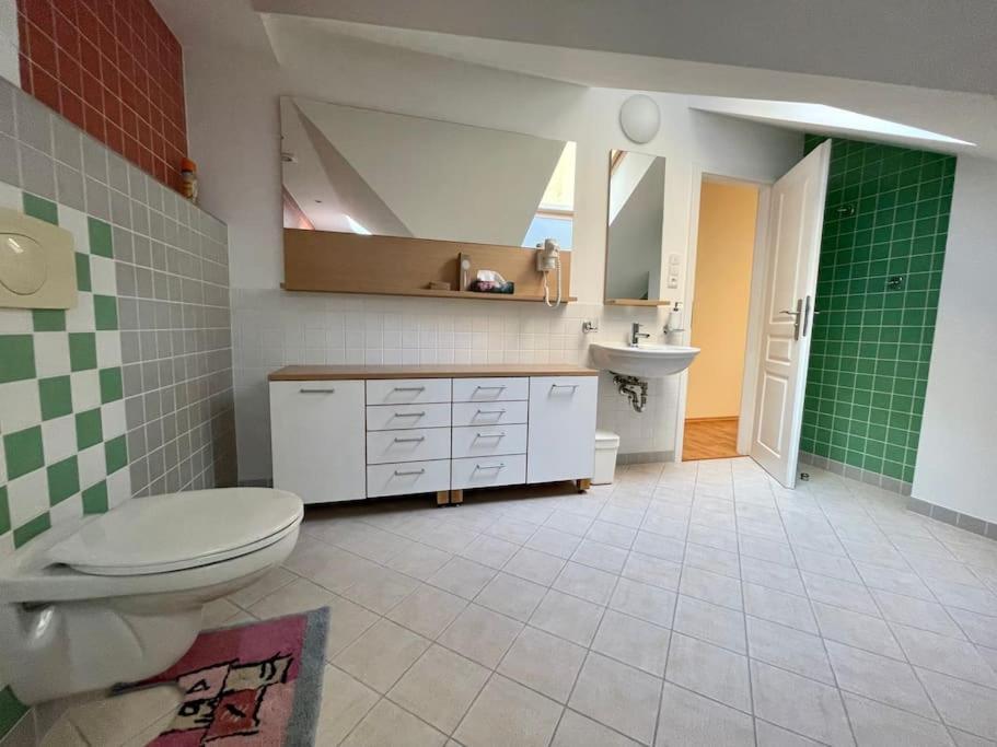 Huge Two Floor Apartment On The Park Colonnade With Free Parking For One Car, 160 Sqm 卡罗维发利 外观 照片