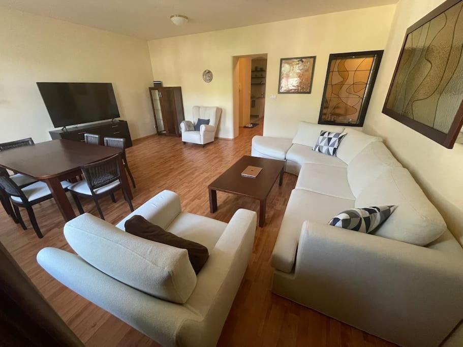 Huge Two Floor Apartment On The Park Colonnade With Free Parking For One Car, 160 Sqm 卡罗维发利 外观 照片