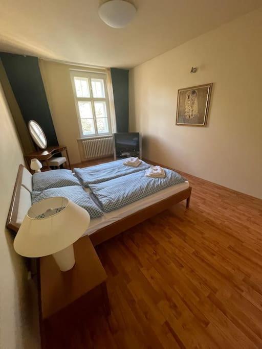 Huge Two Floor Apartment On The Park Colonnade With Free Parking For One Car, 160 Sqm 卡罗维发利 外观 照片